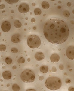 Photo Courtesy of: dailyartmasomenos 