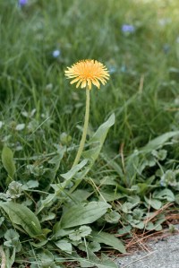 3526552327_c70438d6bc_z