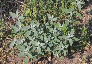 7579936470_d439480404_z