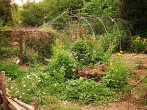 3598986938_16e446492e_z