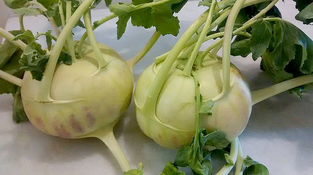 15320591419_69aa11b20d_z