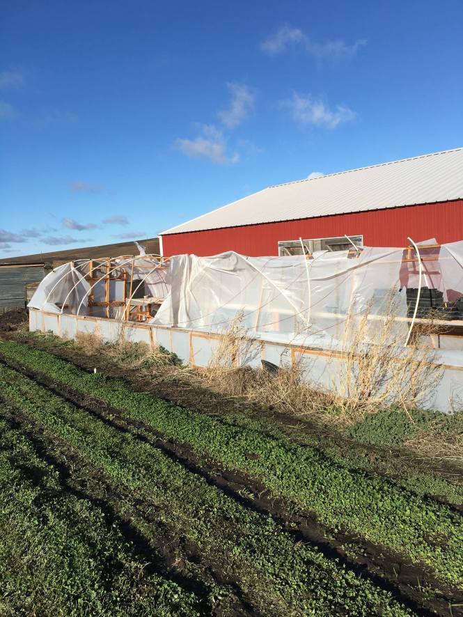 12244809_909334905782091_6507025482482841910_o